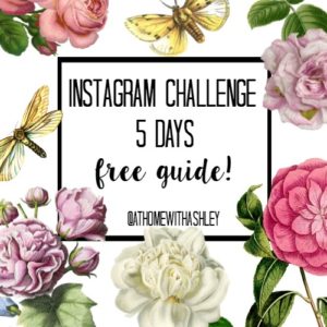 Instagram Challenge - at home with Ashley - 300 x 300 jpeg 25kB